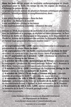 flyer verso Dans les bois.jpg